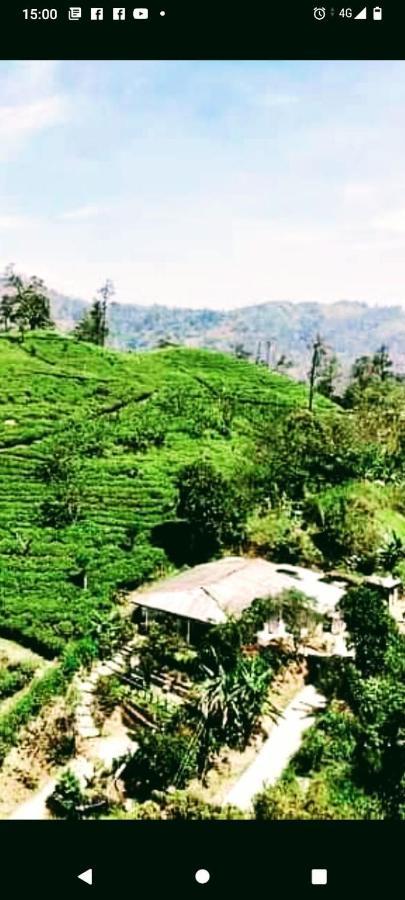 Tunnel Gap Homestay Ella Luaran gambar