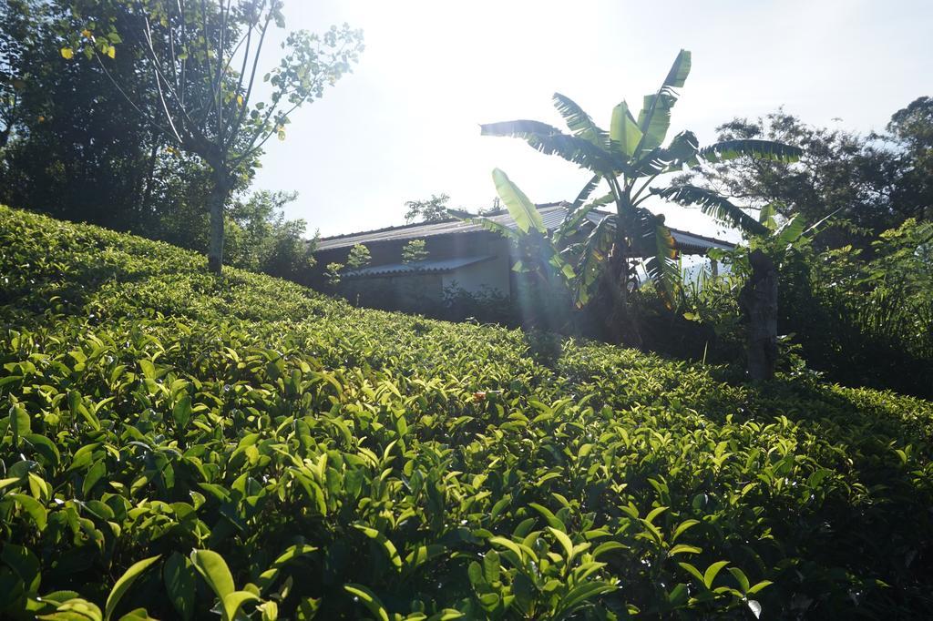Tunnel Gap Homestay Ella Luaran gambar