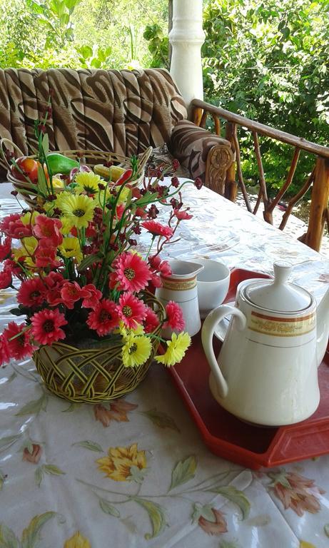 Tunnel Gap Homestay Ella Luaran gambar