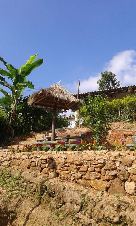 Tunnel Gap Homestay Ella Luaran gambar